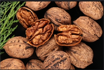 WALNUT核桃