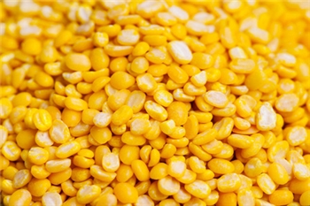 蒸煮冻玉米粒 IQF SWEET CORN